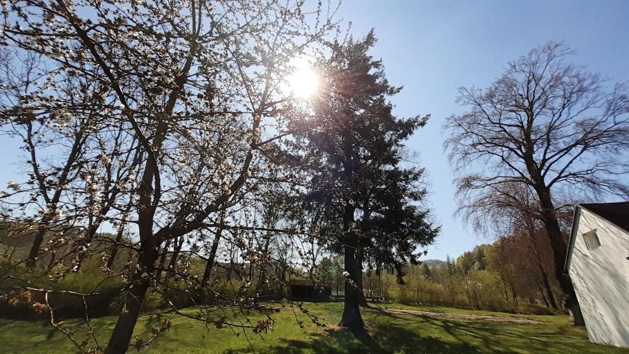 Resort Chribska Apartmany Adri Zewnętrze zdjęcie